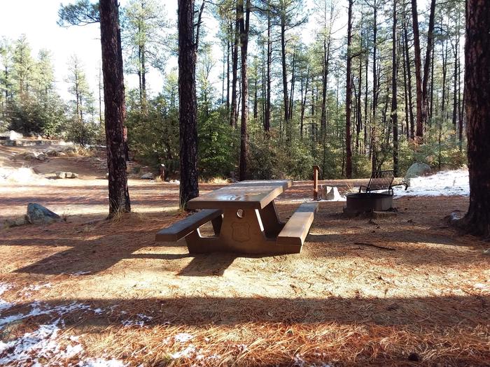 Campsite 33 picnic table and campfire ring