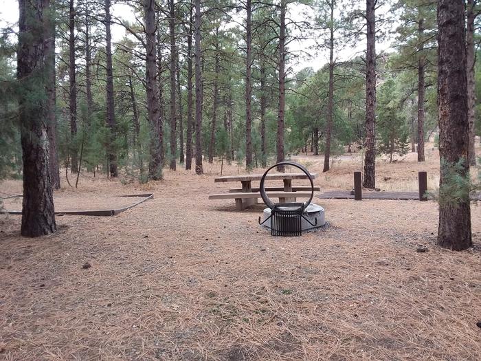 Potato Patch Campground Loop A Site 018: table, fire pit, and tent padPotato Patch Campground Loop A Site 018