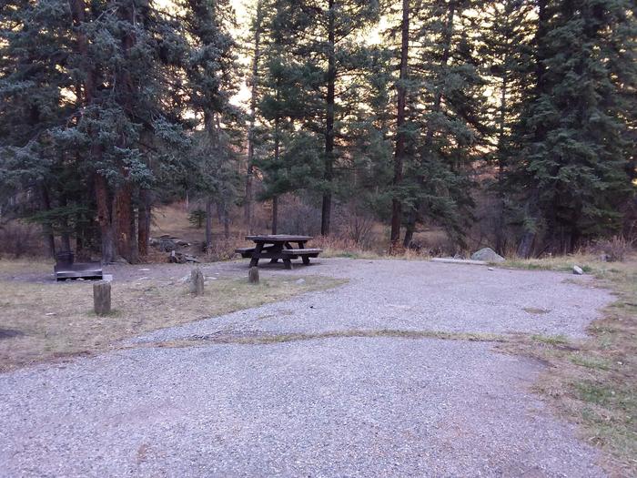 Site 5 with a picnic table, campfire ring, and parking.