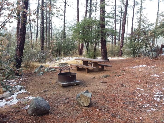 Campsite 39 picnic table and fire ringCampsite 39 picnic table and fir ring