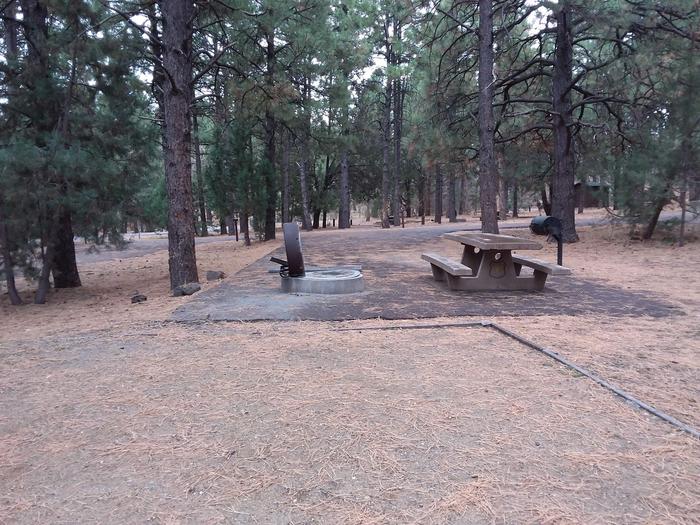Potato Patch Campground Loop A Site 026: table, fire pit, and tent pad with standing grillPotato Patch Campground Loop A Site 026
