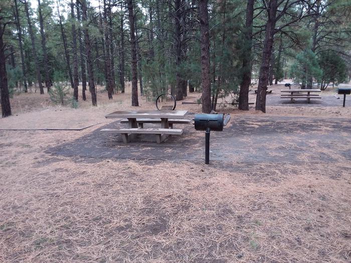 Potato Patch Campground Loop A Site 026: table, fire pit, and tent pad, standing grillPotato Patch Campground Loop A Site 026