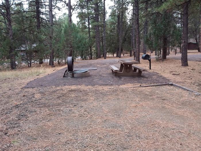Potato Patch Campground Loop A Site 028:  alternate view of table, fire pit, and tent padPotato Patch Campground Loop A Site 028