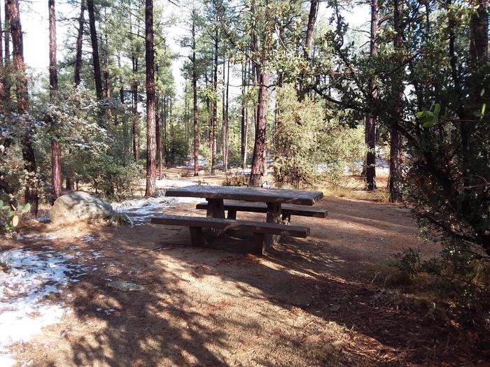 Campsite 41 picnic table surrounded by the forest
