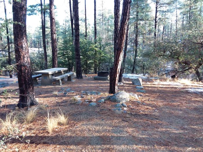 Campsite 43 with a picnic table, campfire ring and an open space for tent placement
