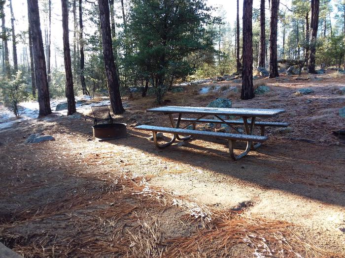 Campsite 44 picnic table and campfire ring