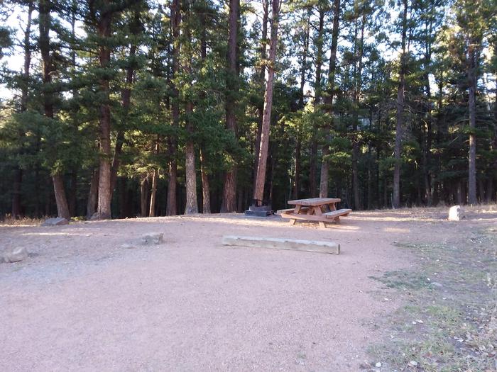 Site 33 with picnic table, campfire ring, and parking.