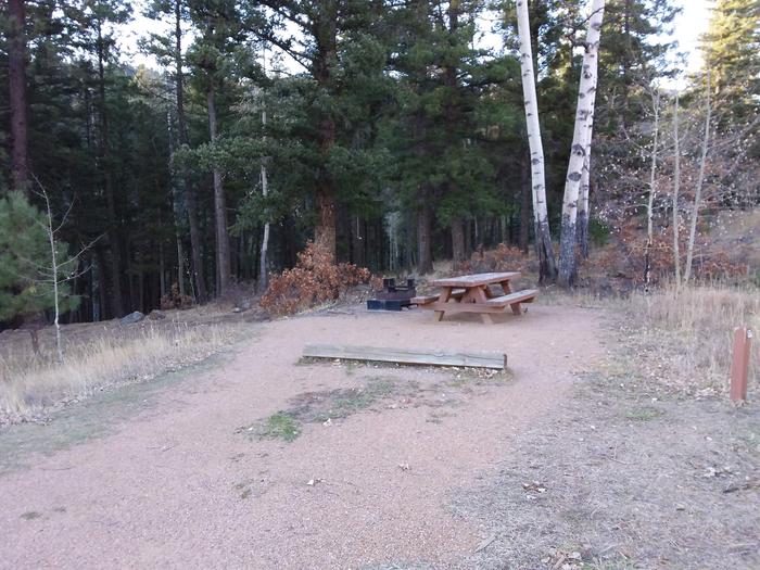 Site 28 with fire ring, picnic table, and parking.