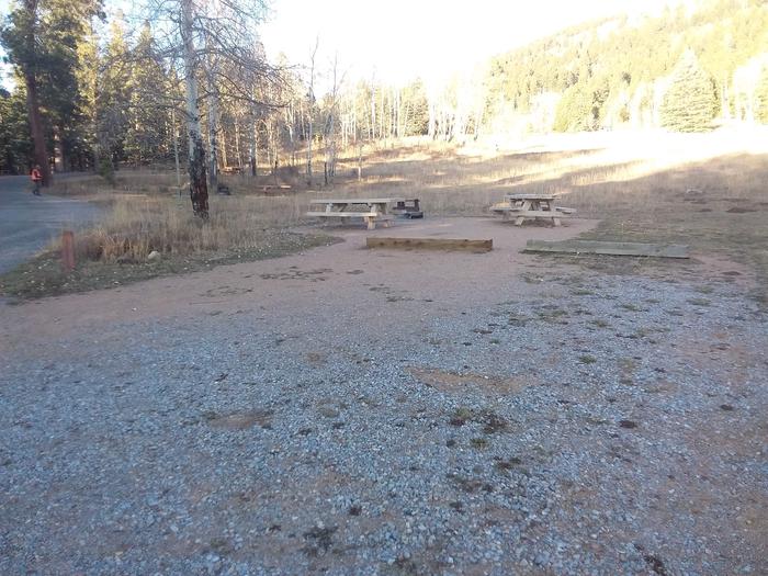 Site 29 & 30 with picnic tables, parking, and a fire ring.