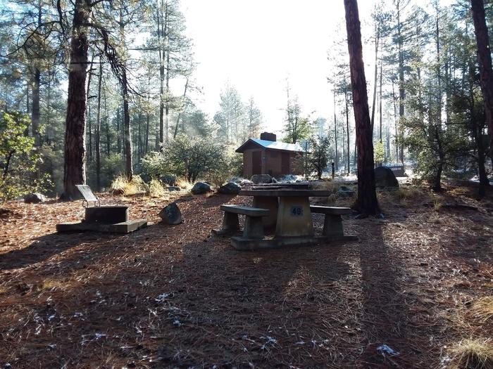 Campsite 48 with a picnic table, campfire ring and nearby restroom