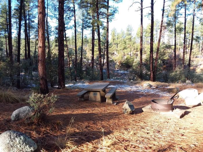Campsite 48 with a picnic table, campfire ring and open space for tent placement