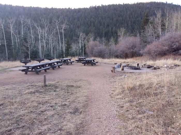 Group A camping area with picnic tables, camp grills, and a fire ring.