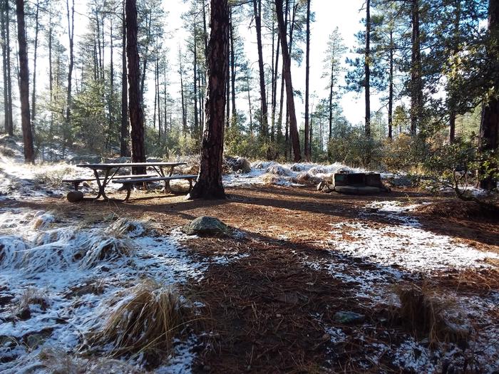 Campsite 56 with a picnic table and campfire grill