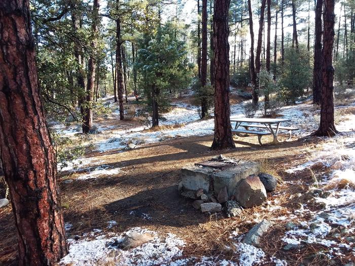 Campsite 56 picnic table and campfire grill