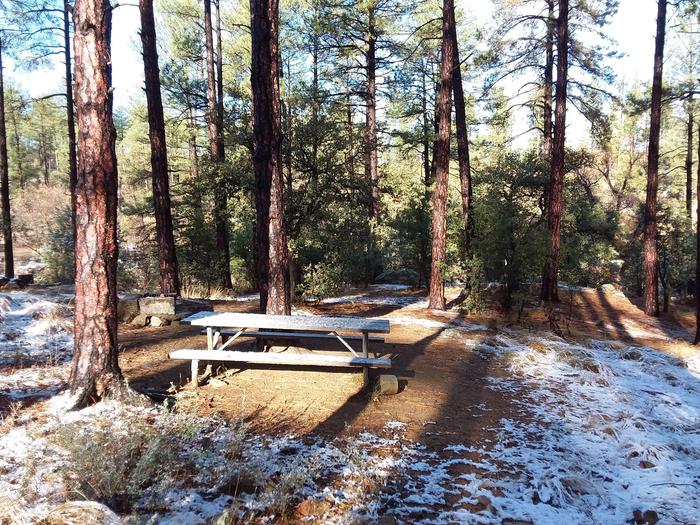 Campsite 56 with a picnic table, campfire ring and an open space for tent placement