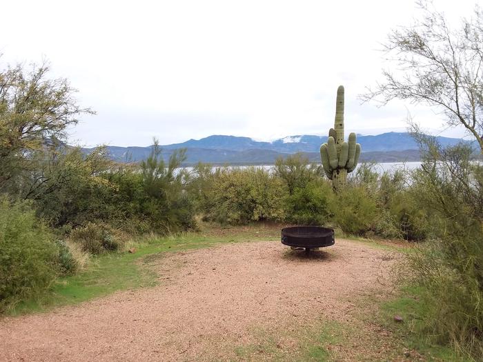 Site 8 campfire ring with shrubs around, and a saguaro cactus.Site 8 scenery and Fire ring.