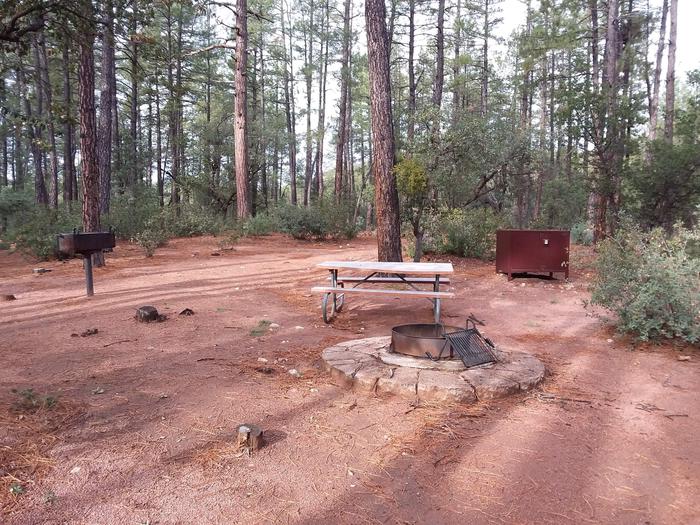 Ponderosa (AZ) Loop A Site 003: table, fire pit, grill, and trash canisterPonderosa (AZ) Loop A Site 003
