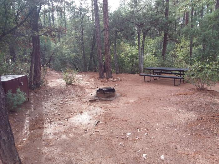 Ponderosa (AZ) Loop A Site 004: table, fire pit, and trash canisterPonderosa (AZ) Loop A Site 004