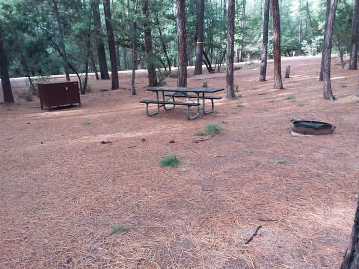 Ponderosa (AZ) Loop A Site 005: table, fire pit, grill, and trash canister - alternate viewPonderosa (AZ) Loop A Site 005
