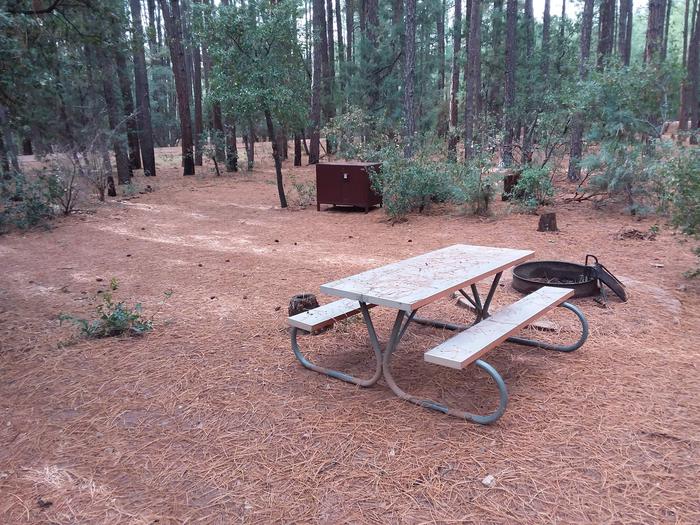 Ponderosa (AZ) Loop A Site 006: table, fire pit, grill, and trash canisterPonderosa (AZ) Loop A Site 006