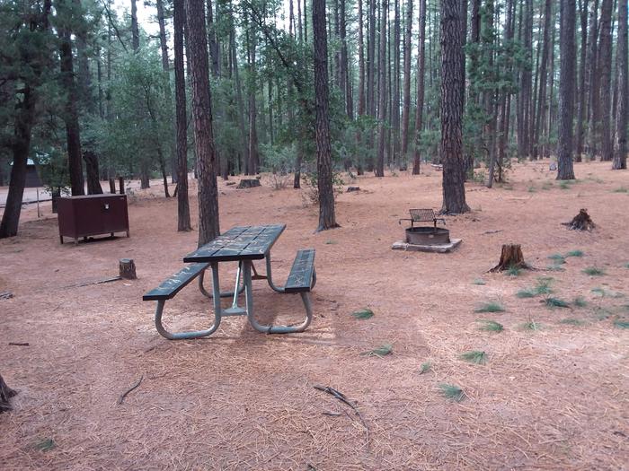 Ponderosa (AZ) Loop A Site 008: table, fire pit, grill, and trash canisterPonderosa (AZ) Loop A Site 008