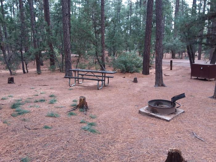 Ponderosa (AZ) Loop A Site 008: table, fire pit, grill, and trash canister - alternate viewPonderosa (AZ) Loop A Site 008