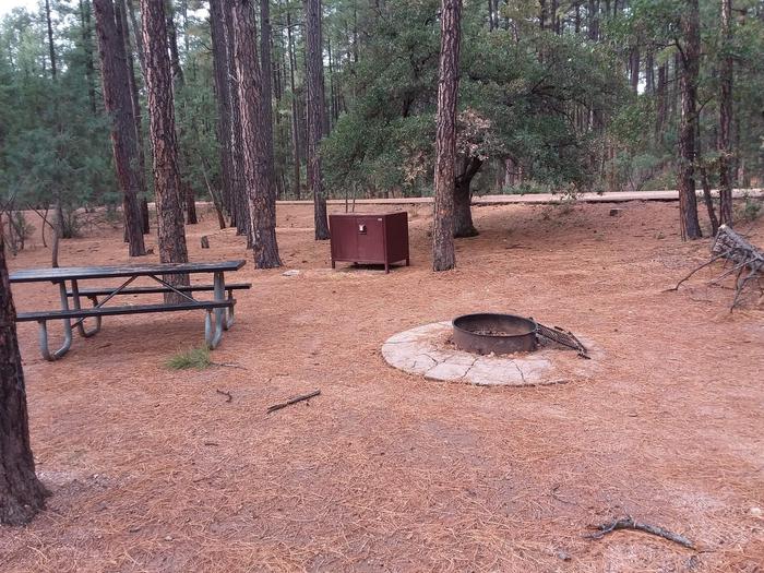 Ponderosa (AZ) Loop A Site 010: table, fire pit, and trash canisterPonderosa (AZ) Loop A Site 010