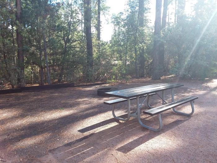 Houston Mesa, Black Bear Loop site #01  wooded site, campfire ring, and picnic tableHouston Mesa, Black Bear Loop site #01 picnic table