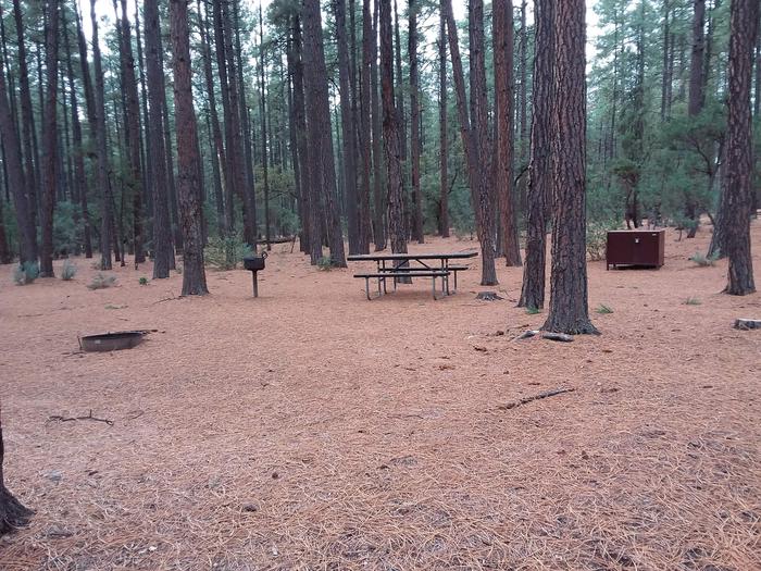 Ponderosa (AZ) Loop A Site 016: table, fire pit, grill, and trash canisterPonderosa (AZ) Loop A Site 016