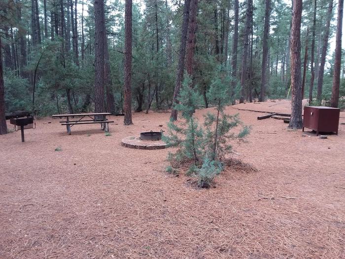 Ponderosa (AZ) Loop A Site 018: table, fire pit, grill, and trash canister with a tree as companyPonderosa (AZ) Loop A Site 018