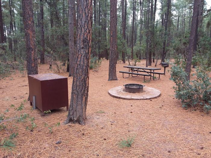 Ponderosa (AZ) Loop A Site 019: table, fire pit, grill, and trash canisterPonderosa (AZ) Loop A Site 019