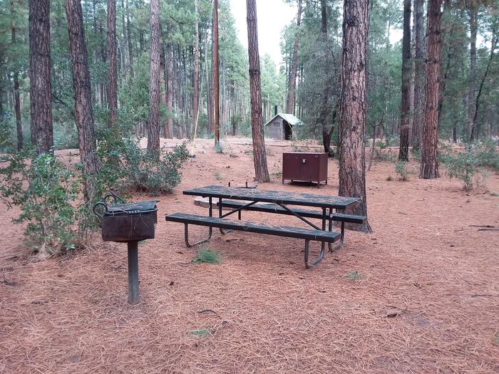Ponderosa (AZ) Loop A Site 019: campsite with quick access to restroomsPonderosa (AZ) Loop A Site 019