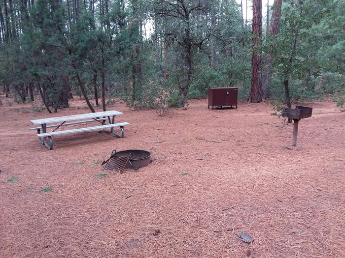 Ponderosa (AZ) Loop A Site 020: table, fire pit, grill, and trash canisterPonderosa (AZ) Loop A Site 020