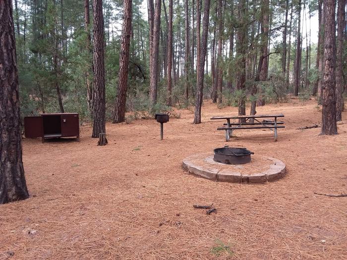 Ponderosa (AZ) Loop A Site 021: table, fire pit, grill, and trash canisterPonderosa (AZ) Loop A Site 021