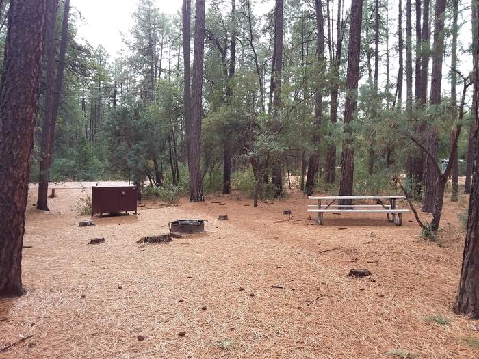 Ponderosa (AZ) Loop A Site 023: table, fire pit, grill, and trash canisterPonderosa (AZ) Loop A Site 023