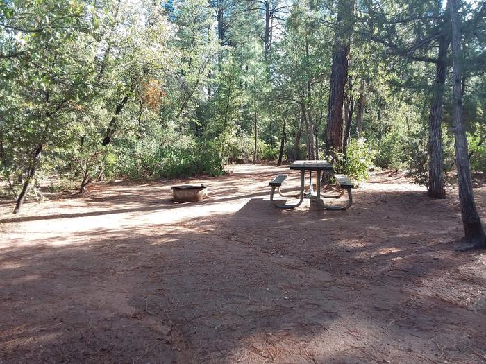 Houston Mesa, Black Bear Loop site #20 shady table and fire ringHouston Mesa, Black Bear Loop site #20 