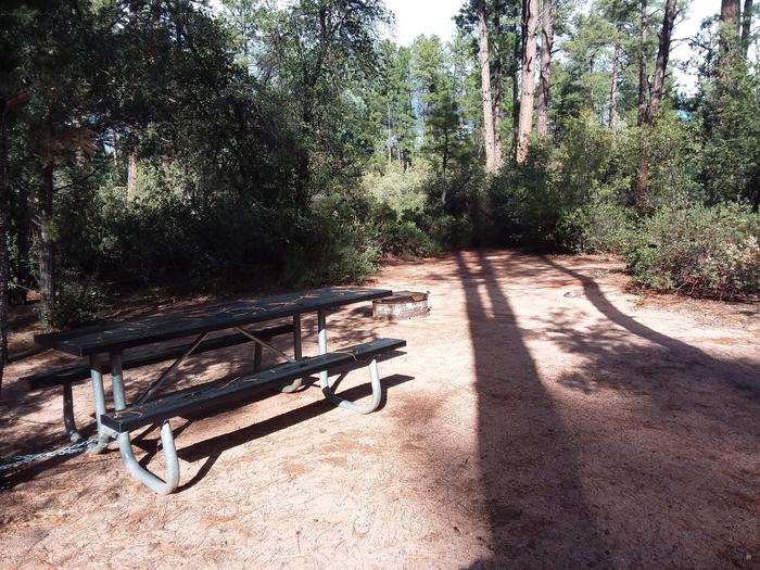 Houston Mesa, Black Bear Loop site #21 wooded site, fire pit, and picnic table.Houston Mesa, Black Bear Loop site #21 