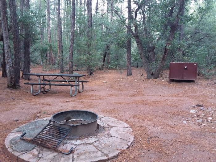 Ponderosa (AZ) Loop B Site 001: table, fire pit, and trash canisterPonderosa (AZ) Loop B Site 001