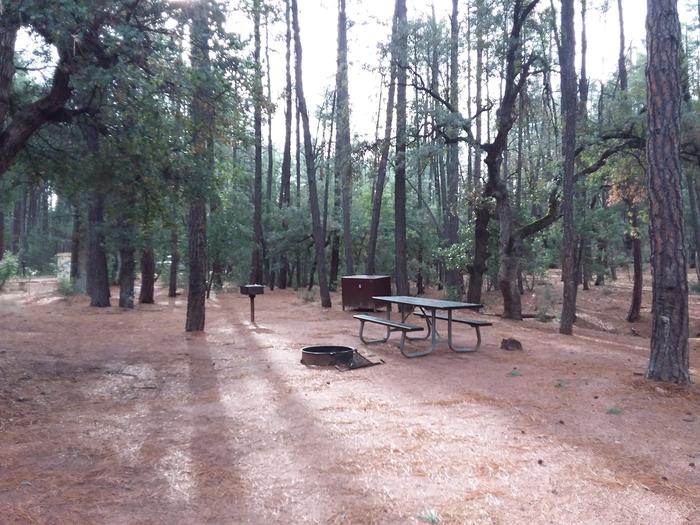 Ponderosa (AZ) Loop B Site 002: table, fire pit, and trash canisterPonderosa (AZ) Loop B Site 002