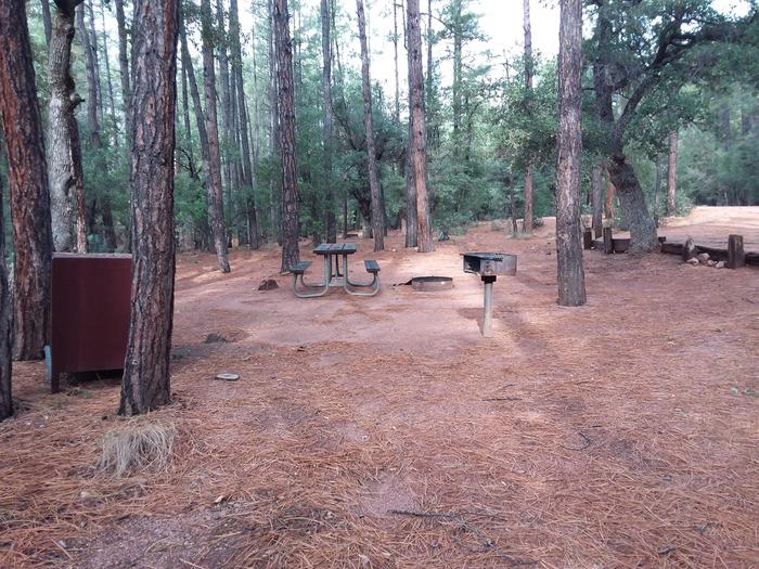 Ponderosa (AZ) Loop B Site 0012: table, fire pit, and trash canister - alternate viewPonderosa (AZ) Loop B Site 002