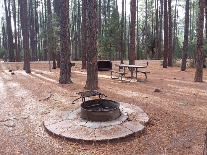 Ponderosa (AZ) Loop B Site 003: table, fire pit, and trash canisterPonderosa (AZ) Loop B Site 003