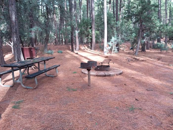 Ponderosa (AZ) Loop B Site 007: table, fire pit, grill, and trash canisterPonderosa (AZ) Loop B Site 007