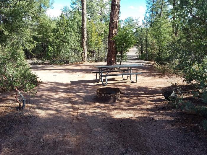 Houston Mesa, Elk Loop site #14 fire pit and picnic table.Houston Mesa, Elk Loop site #14 