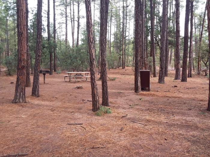 Ponderosa (AZ) Loop C Site 009: table, grill, and trash canister (fire pit not shown)Ponderosa (AZ) Loop C Site 009