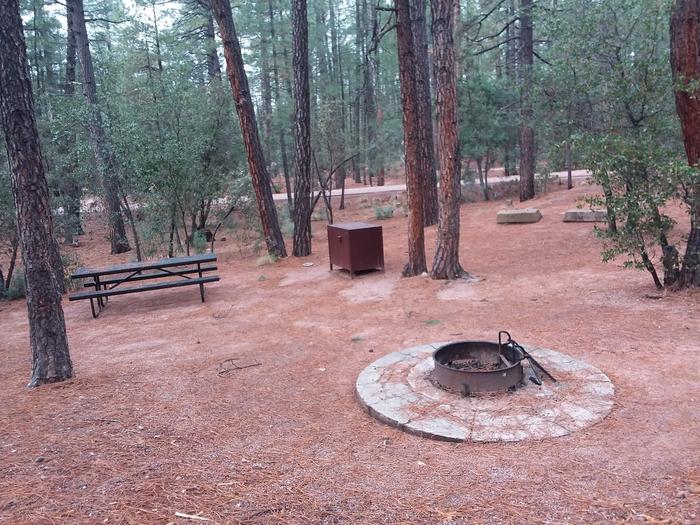 Ponderosa (AZ) Loop D Site 001: table, brick fire pit, and trash canisterPonderosa (AZ) Loop D Site 001