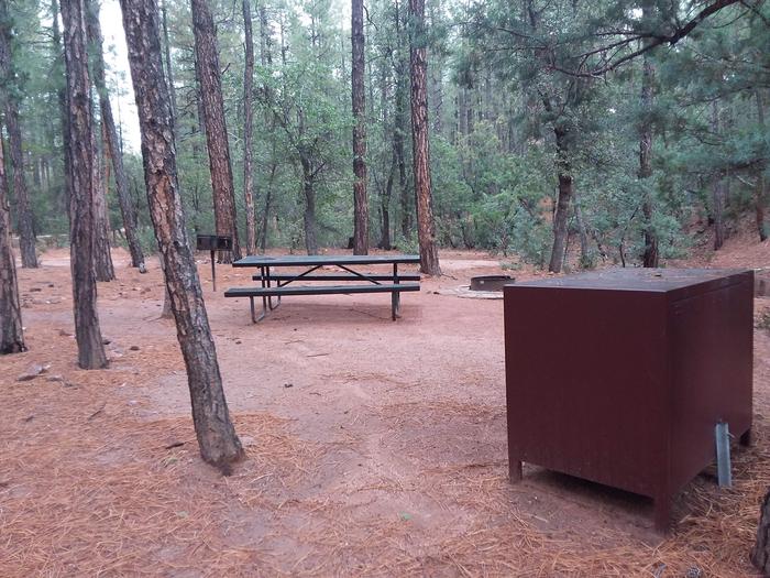 Ponderosa (AZ) Loop D Site 002: table, brick fire pit, and trash canister  with a grillPonderosa (AZ) Loop D Site 002