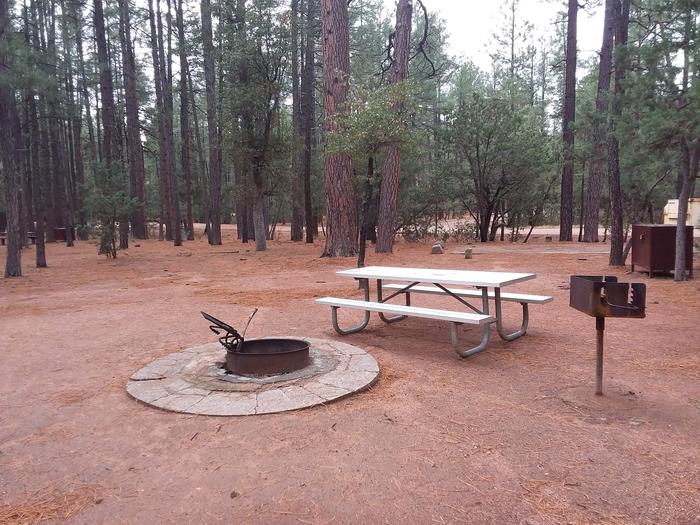 Ponderosa (AZ) Loop D Site 001: table, brick-lined fire pit, and trash canister and grillPonderosa (AZ) Loop D Site 003