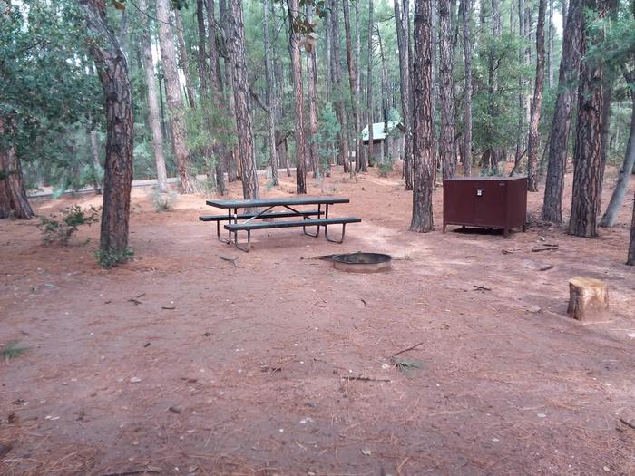 Ponderosa (AZ) Loop D Site 011: table, fire pit, and trash canister, and quick restroom accessPonderosa (AZ) Loop D Site 01
