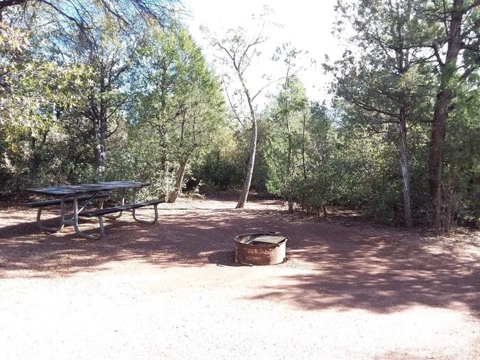 Houston Mesa, Mountain Lion Loop site #14 featuring large camping space with picnic table and fire pit.