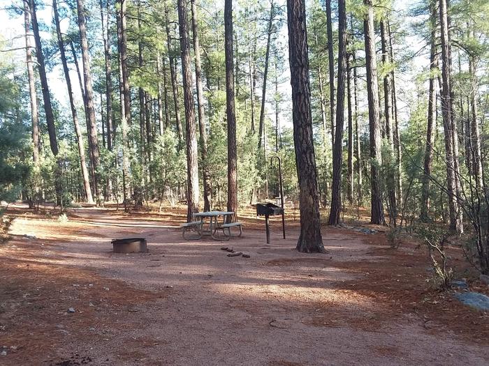 Pine Loop Site 01 with a picnic table, grill and campfire ring